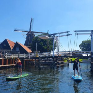 Bike. lunch, sup arrangement
